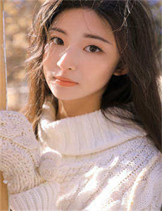 宠物小精灵